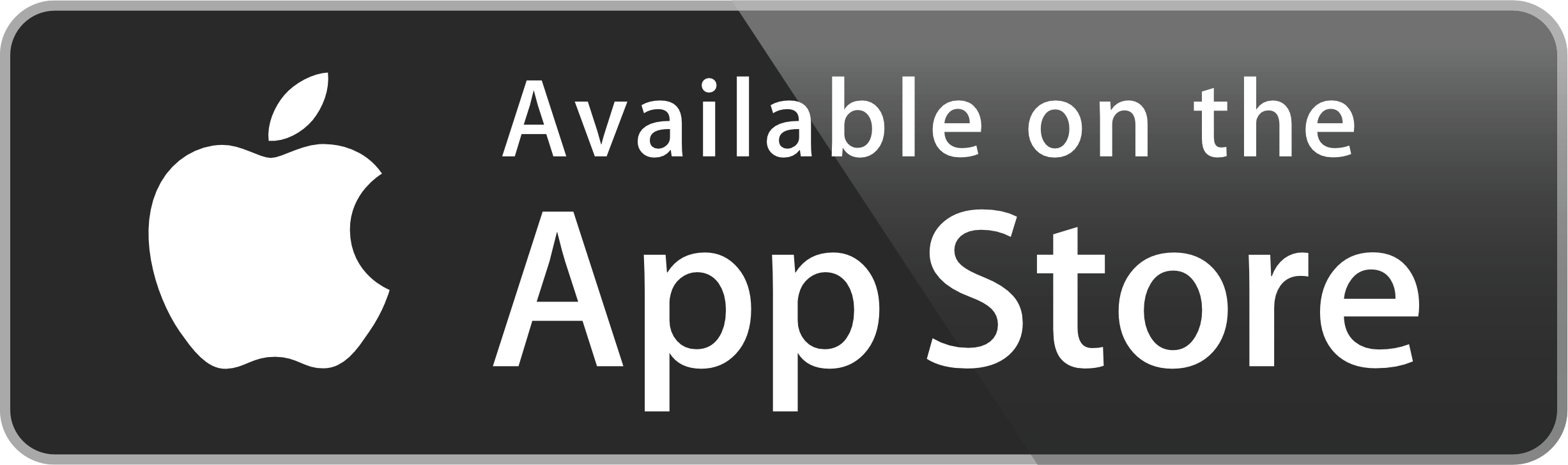Google Play Store